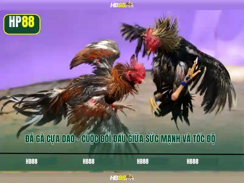 Tải app hb88 cho người chơi SLOT