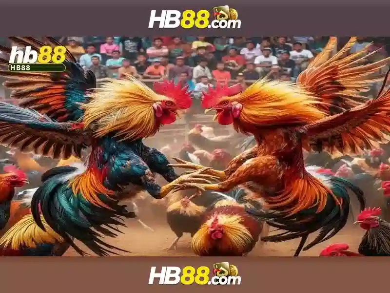 HB88 – Hướng dẫn đăng ký nhanh