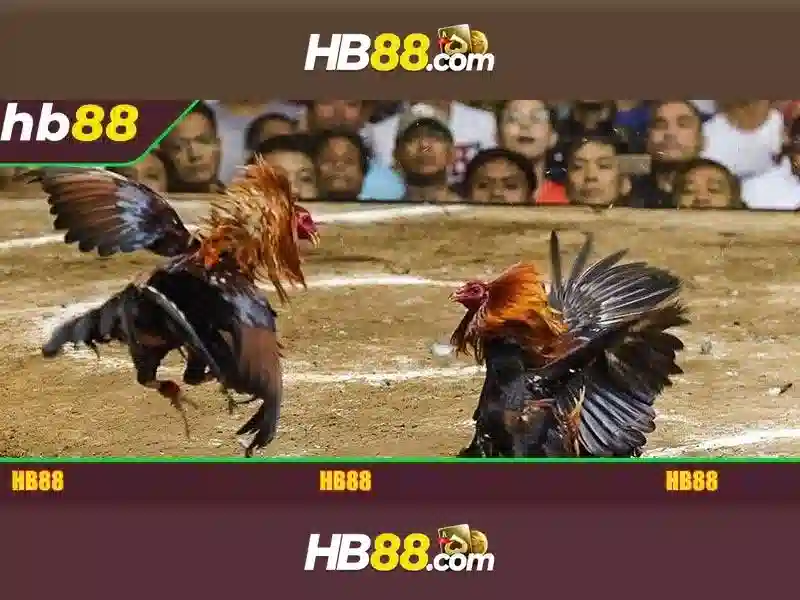Hướng dẫn đăng ký HB88 App