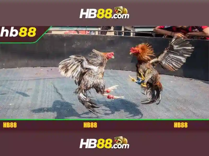 Tại HB88