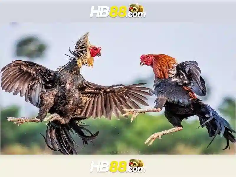 Cách Chơi Slot Hiệu Quả