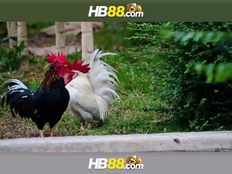 Tại Sao Nên Chọn HB88 Cho Trải Nghiệm Slot