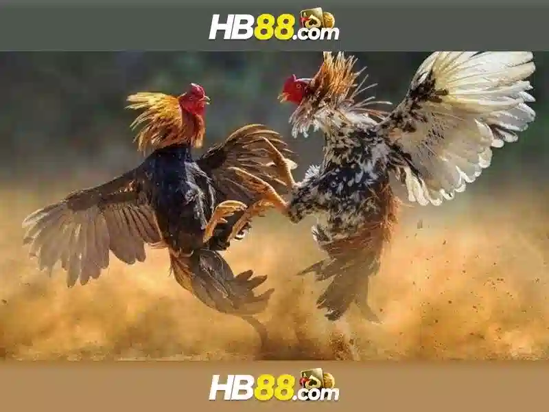 Trải nghiệm cá cược Slot tại HB88