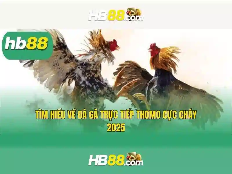 HB88 CASINO