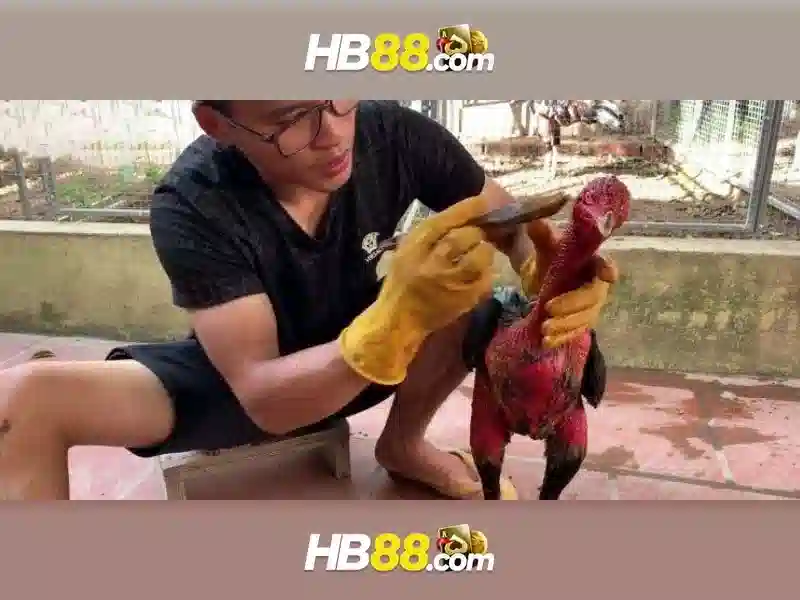 HB88 – Trải Nghiệm Slot Đỉnh Cao Với Ứng Dụng hb88 App 2026
