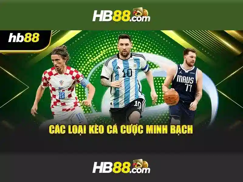 Kiến Thức Cơ Bản Về Slot