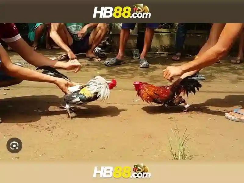 Link Tại HB88 – Truy Cập Trang Slot Không Bị Chặn 2026