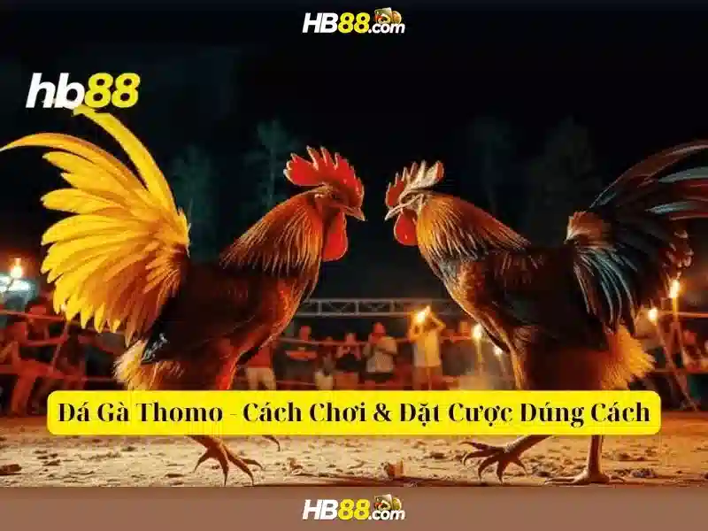 Khám Phá Trải Nghiệm Slot Trực Tuyến