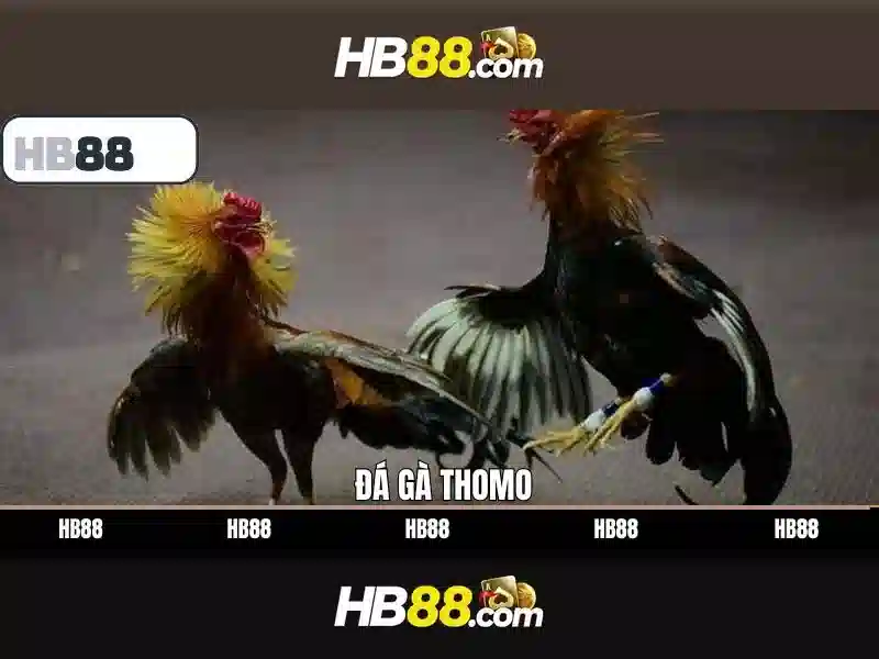Lý Do Ưu Tiên