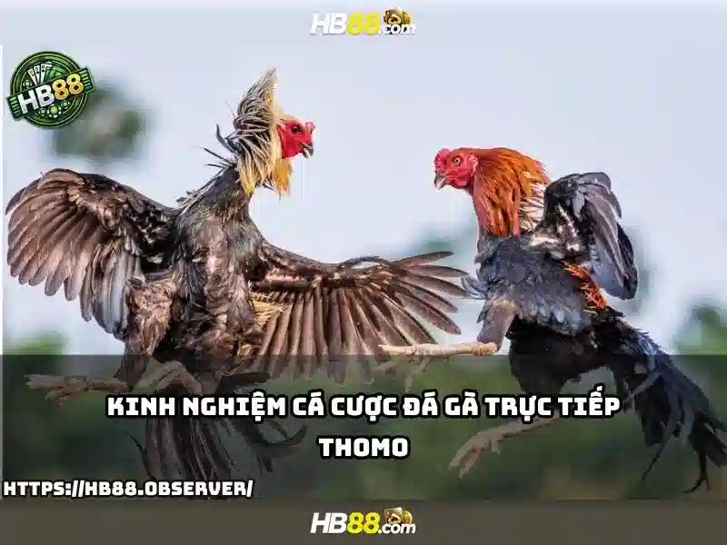HB88 - Trải Nghiệm Slot Đỉnh Cao Với Nhà Cái HB88 Chính Thức 2026