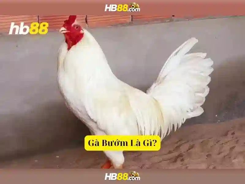 Trải nghiệm slot đa dạng