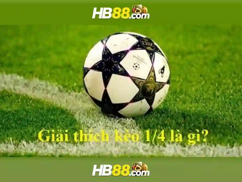 Đặc Điểm Nổi Bật