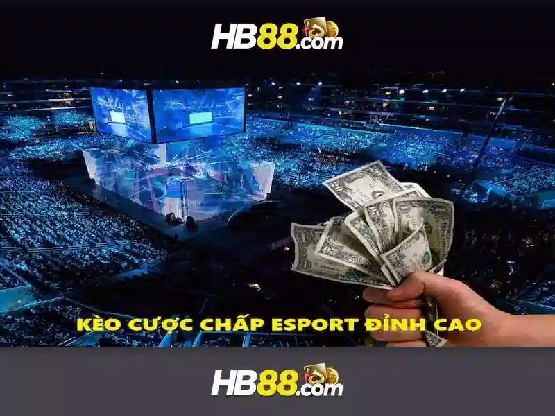 Chiến Thuật Bắn Cá Hiệu Quả Cho Người Mới