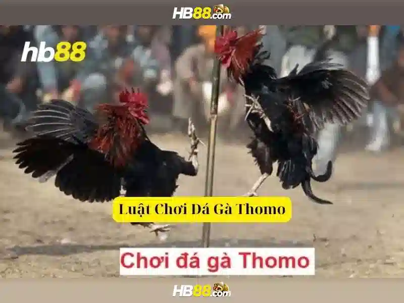Tại Sao Nên Chọn HB88 App Cho Trải Nghiệm Slot Tuyệt Vời