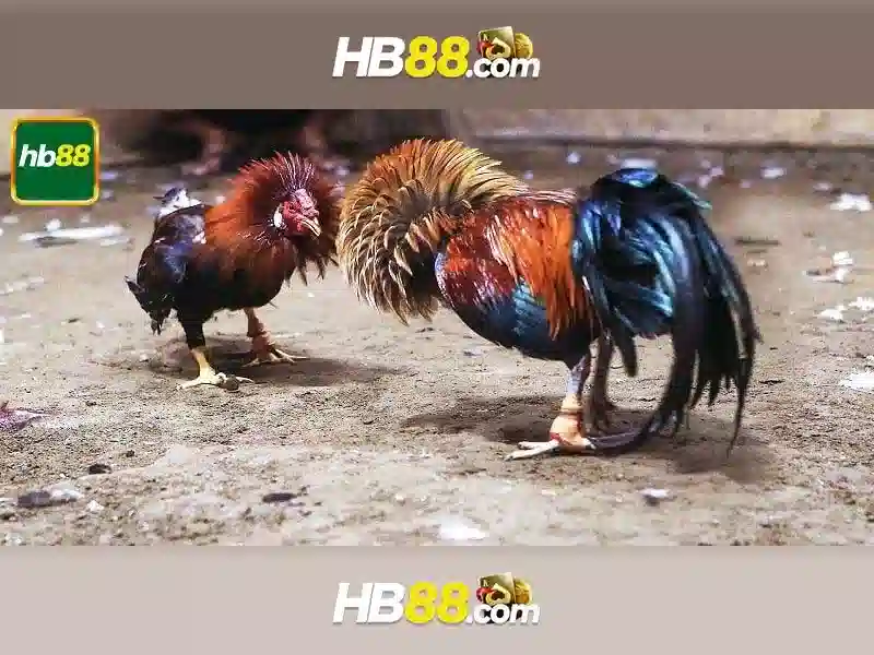 Hướng dẫn tải HB88 cho người mới