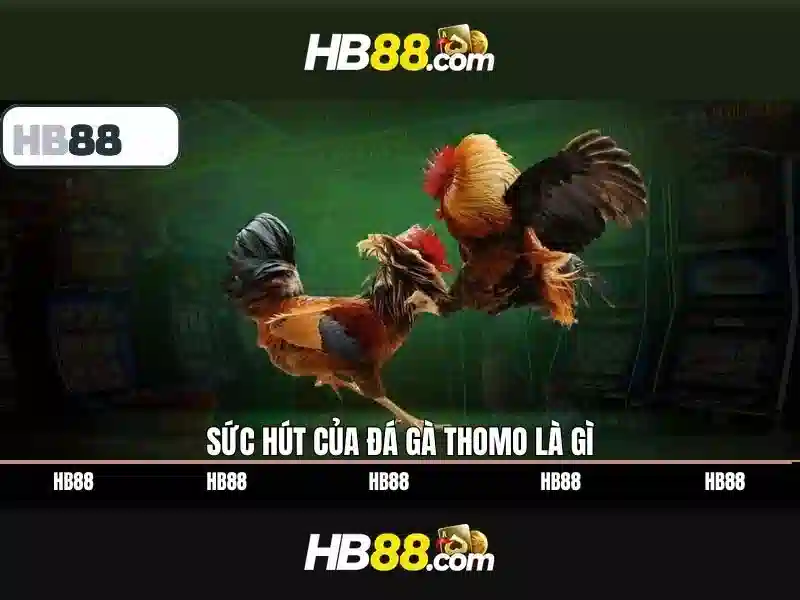 Đa dạng trò chơi slot