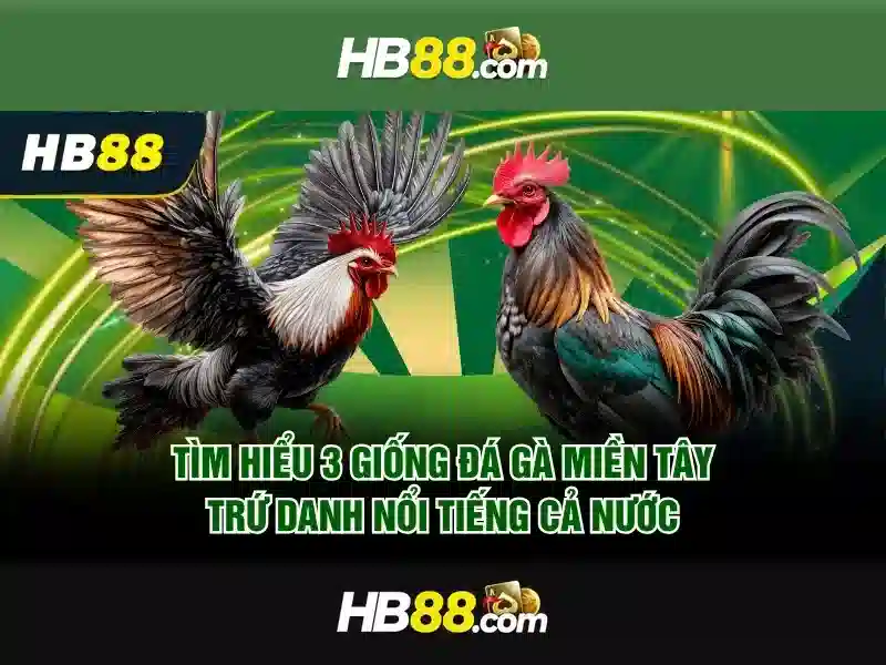 hướng dẫn truy cập slot trực tiếp HB88