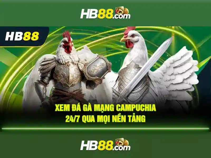 Đặc Điểm Nổi Bật