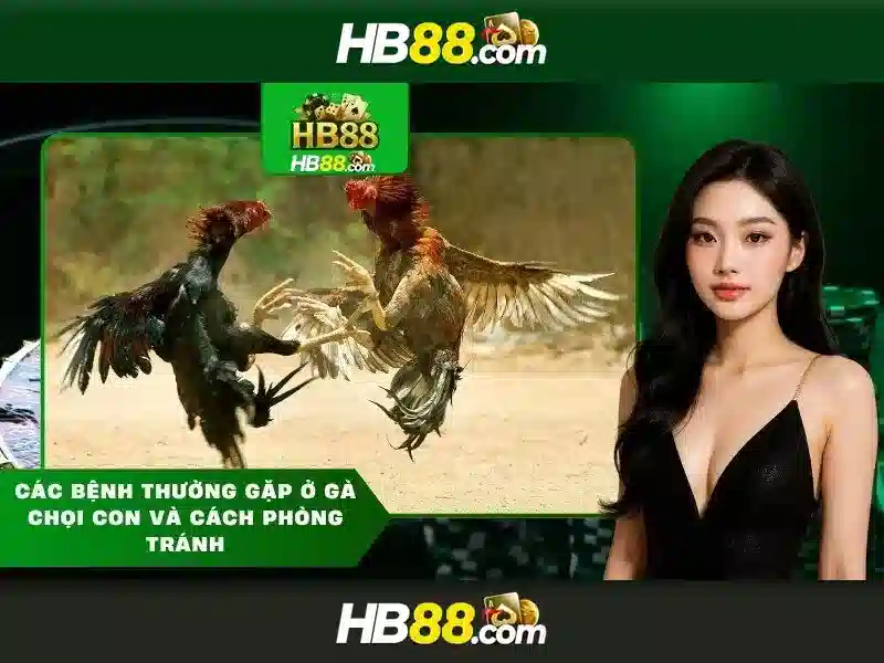 HB88 Login và Giao Diện Slot Hiện Đại