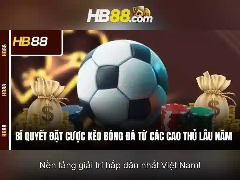 HB88 - Trải Nghiệm Slot Đỉnh Cao Với Hỗ Trợ 24/7 Tại hb88 com