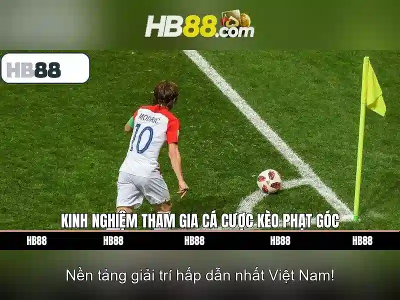 Hướng Dẫn Cài Đặt hb88 App Dễ Dàng