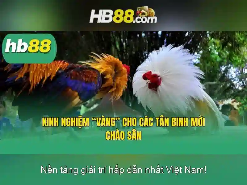 HB88 – Trang Chủ HB88 Casino – Truy Cập Trực Tuyến Không Bị Chặn 2026