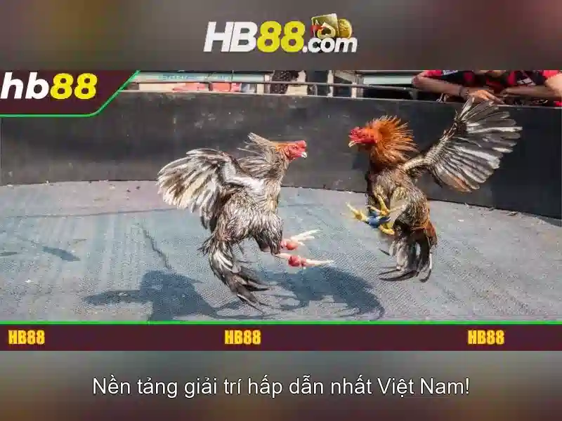 Kinh Nghiệm Chơi Slot Hấp Dẫn