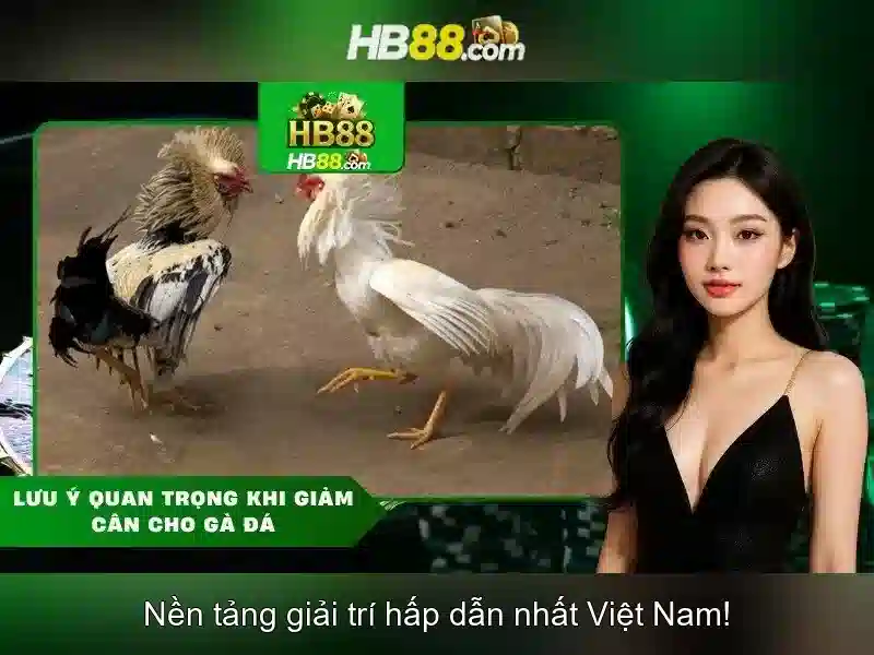 Cách Đăng Nhập hb88 Nhanh Chóng