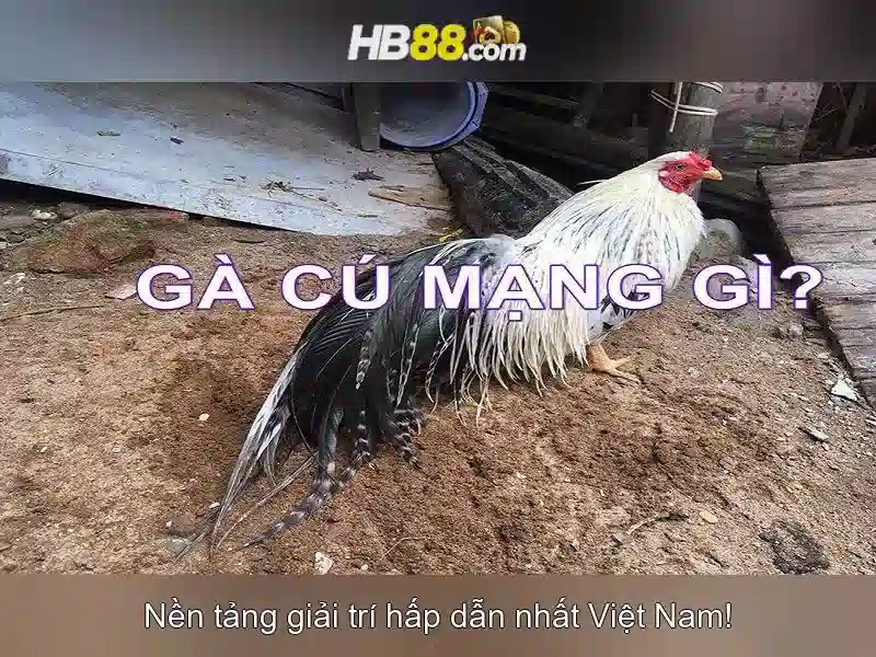 khuyến mãi hb88