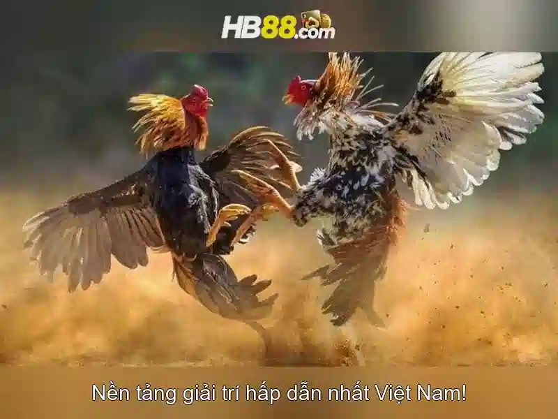 HB88 nhà cái slot