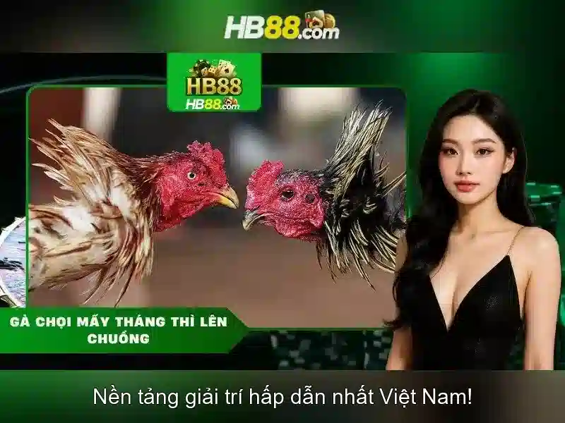 HB88 – Link Vào Trang Chủ HB88 Chính Thức Không Bị Chặn 2026