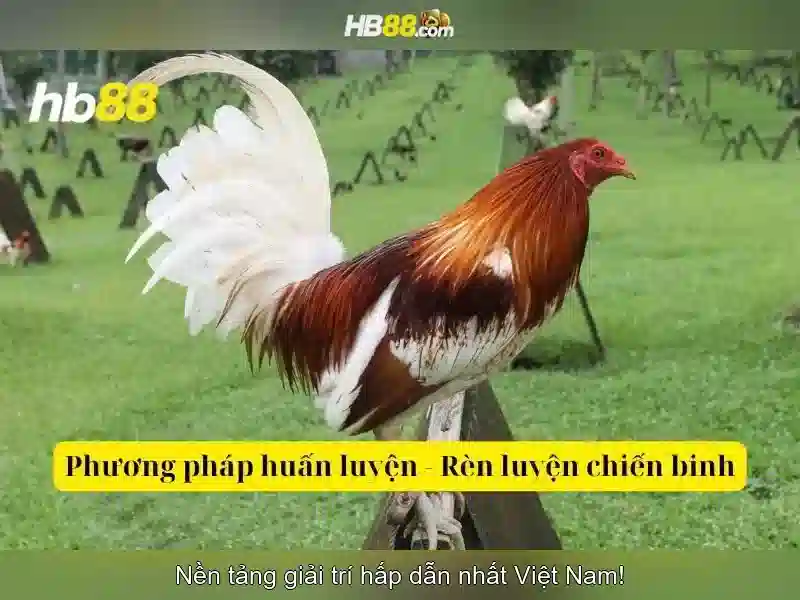 Đăng Nhập HB88