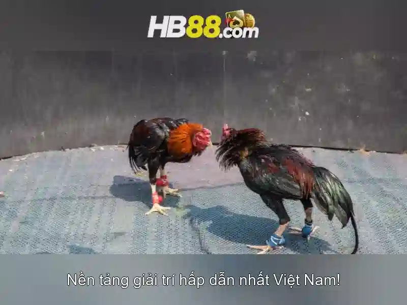 Nổ Hũ HB88