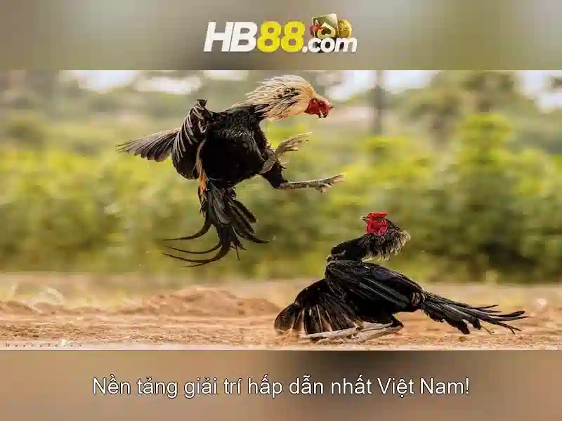 nạp tiền HB88