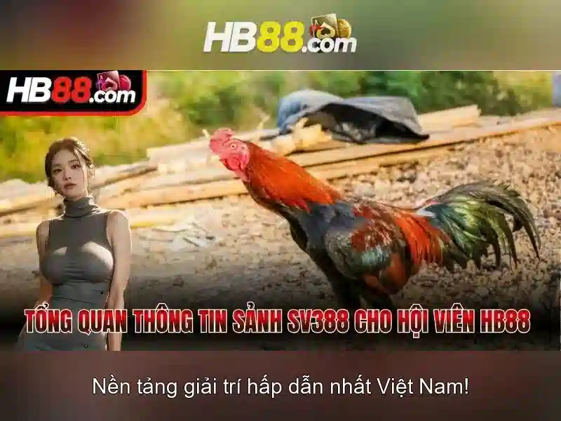 Khuyến Mãi Slot