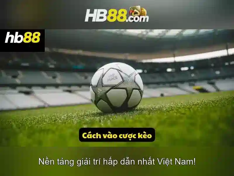 Hỗ Trợ Khách Hàng