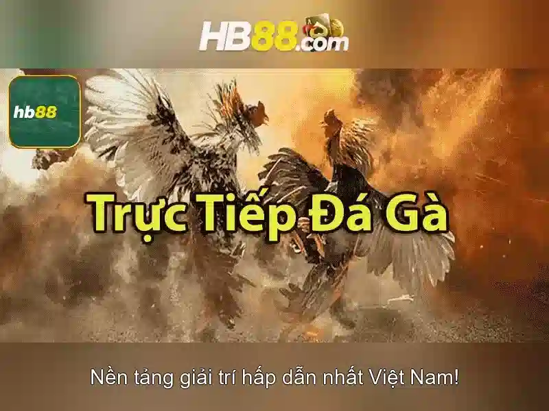 HB88 Slot – Trải Nghiệm Slot Đỉnh Cao | Casino, Thể Thao, Xổ Số, Nổ Hũ, Đá Gà, Khuyến Mãi, Bắn Cá, 13Win