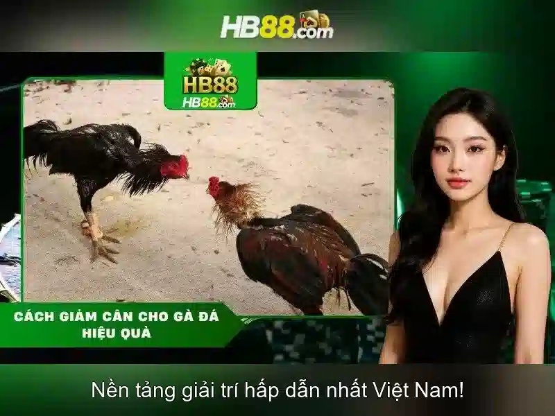 Game Slot HB88