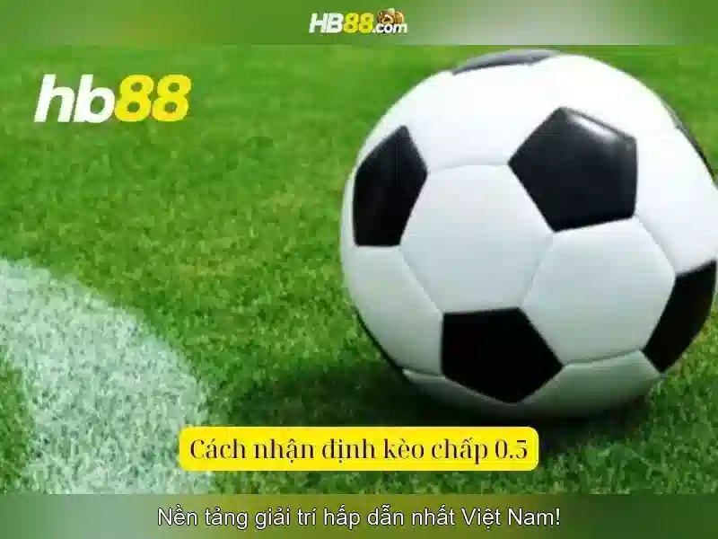 Giới Thiệu Về Dịch Vụ Đăng Ký Tài Khoản HB88