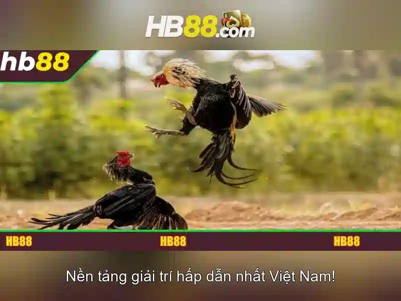 slot trực tiếp HB88