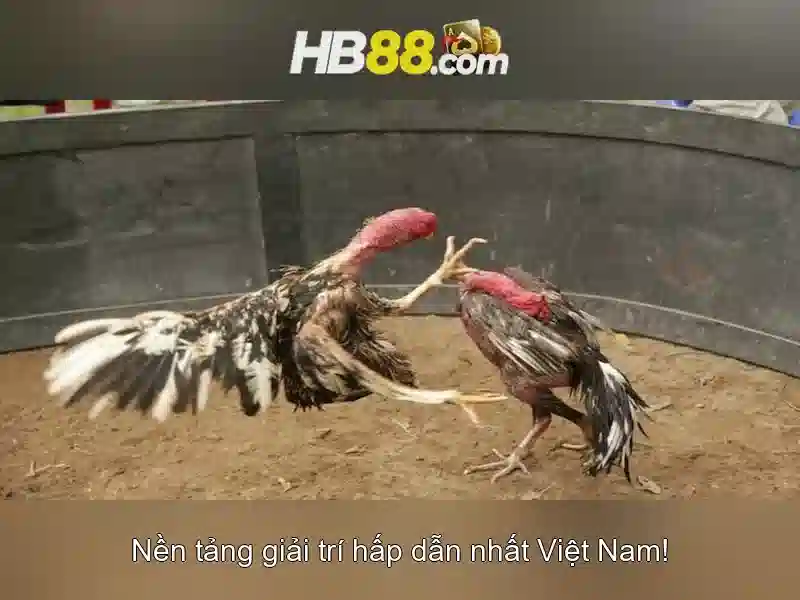 Đa Dạng Loại Hình SLOT