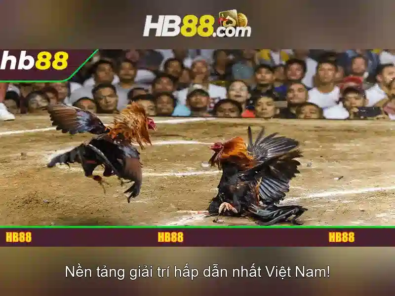 Trải Nghiệm Slot