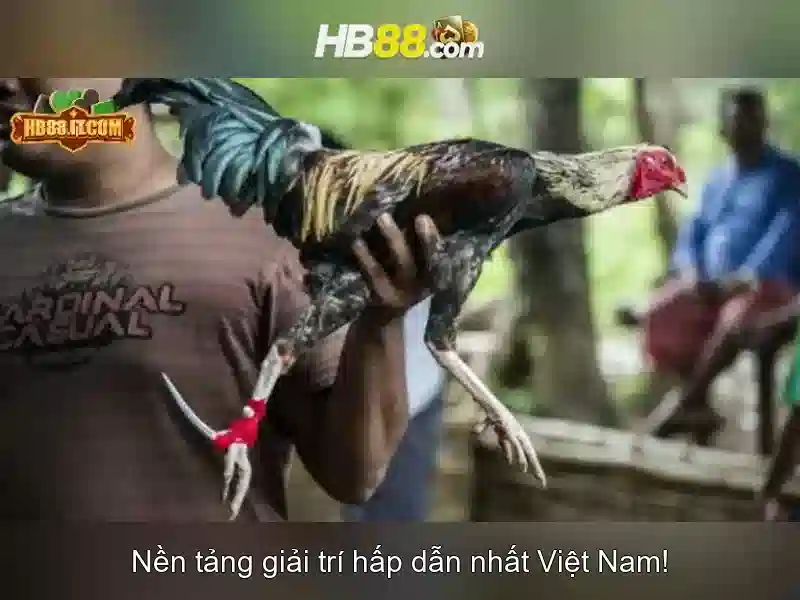 Kho Trò Chơi Slot Đa Dạng