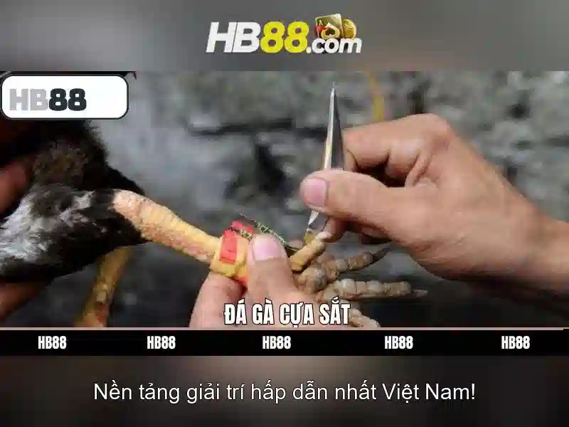 Ưu Đãi Đặc Biệt Cho Thành Viên HB88