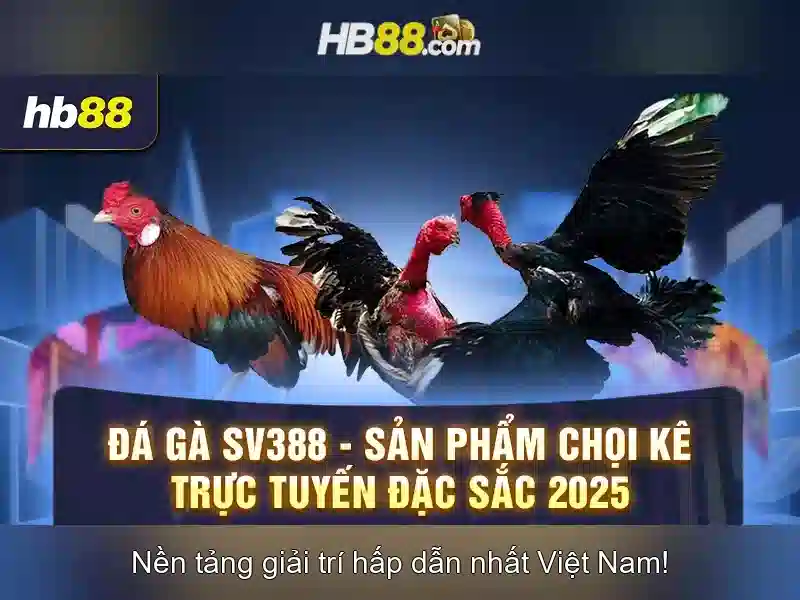 Đặc Điểm Nổi Bật