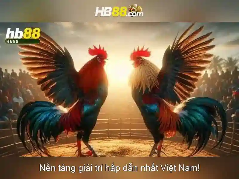 Ưu Điểm Nổi Bật Của Trang Chủ HB88