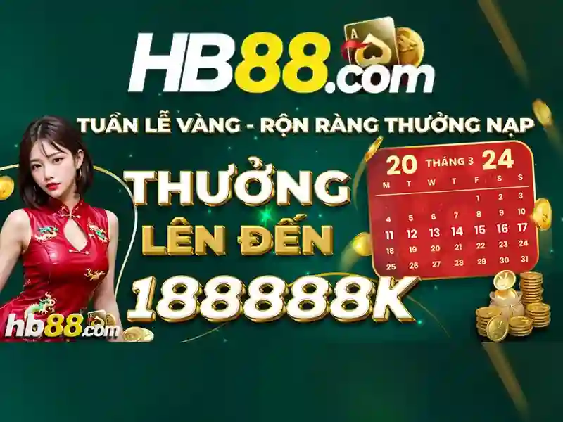 hướng dẫn sử dụng
